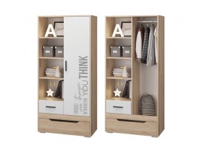 Шкаф для одежды с 2 ящиками в Полевском - polevskoj.magazinmebel.ru | фото
